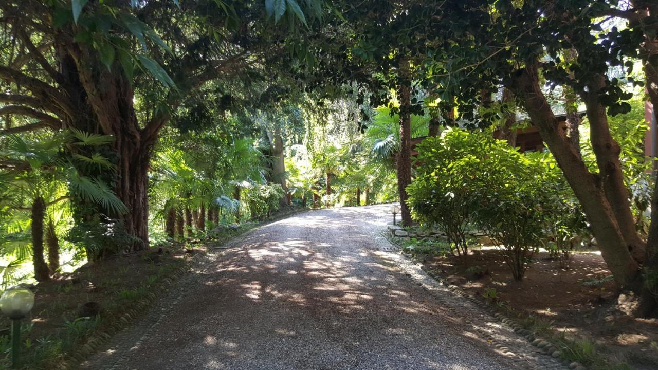 Villa Magnolia Lago Maggiore Besozzo Exterior photo