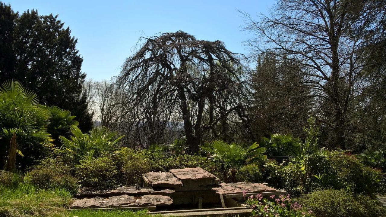 Villa Magnolia Lago Maggiore Besozzo Exterior photo